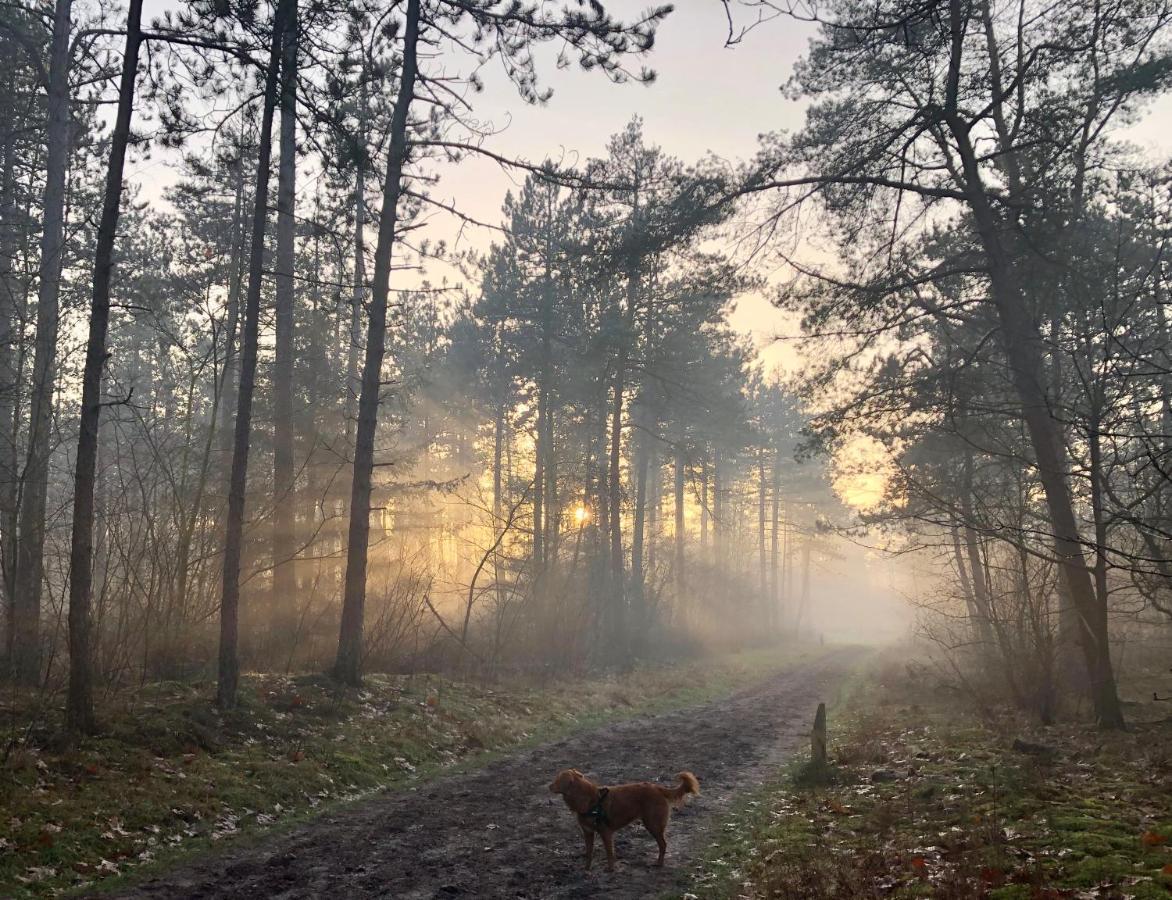 Het Natuurhuisje Op De Veluwe Нюнспет Екстер'єр фото