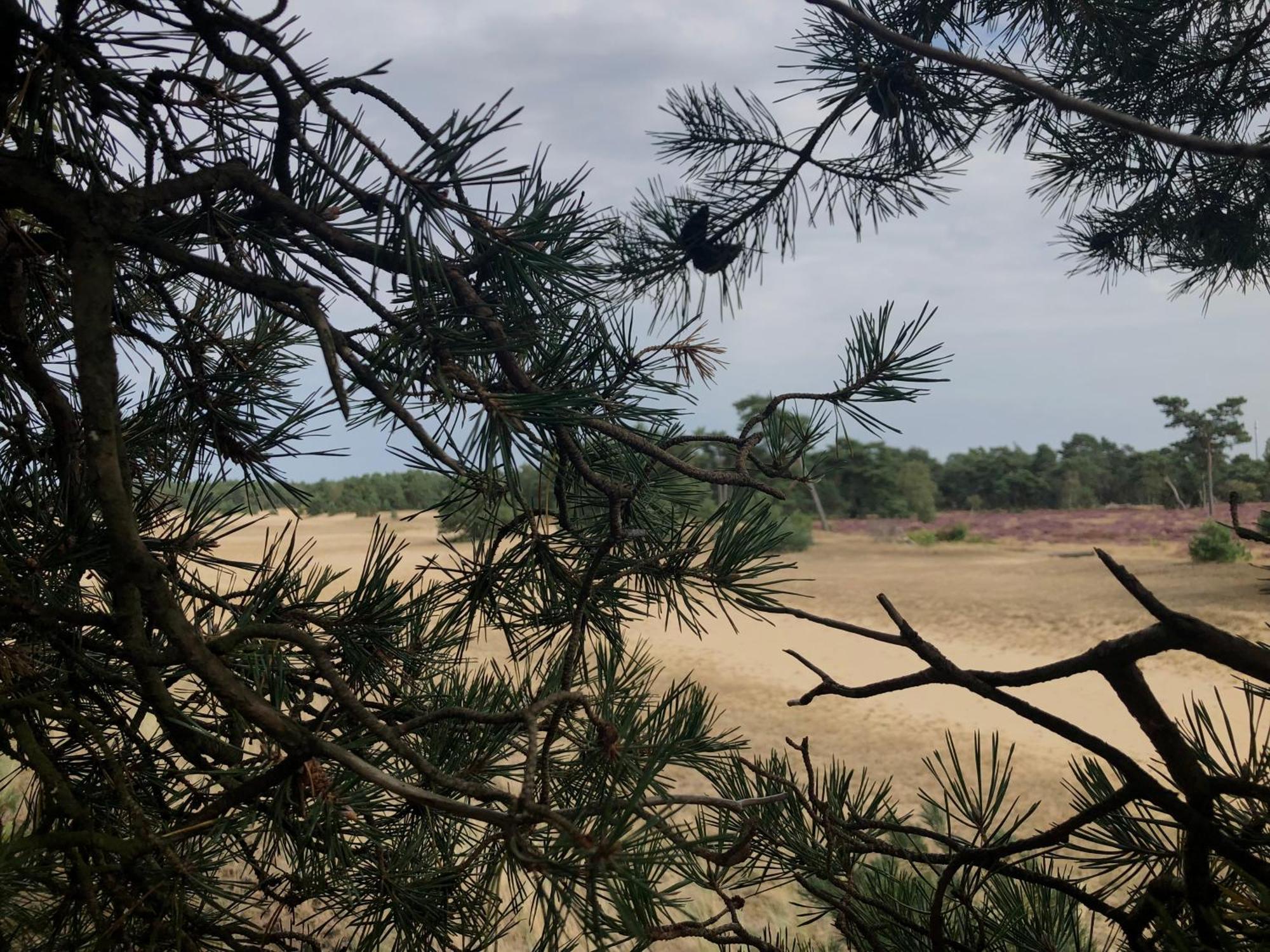 Het Natuurhuisje Op De Veluwe Нюнспет Екстер'єр фото