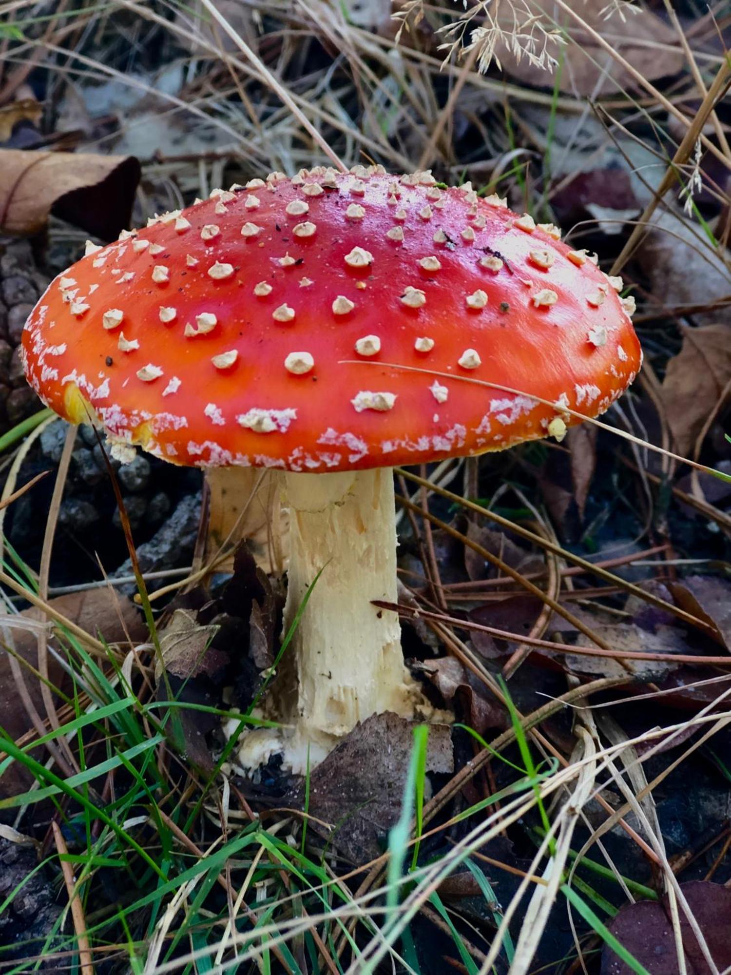 Het Natuurhuisje Op De Veluwe Нюнспет Екстер'єр фото